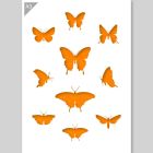 QBIX Stencil farfalla - Formato A3