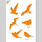 QBIX Stencil per uccelli - Formato A3
