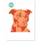 QBIX Stencil per cani - Formato A3 - 2 strati