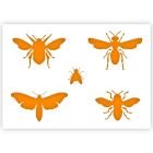 Stencil per insetti in 3 dimensioni