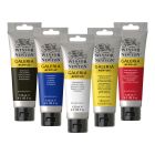 Winsor & Newton Galeria Vernice acrilica 120ml - Set di 5 colori base