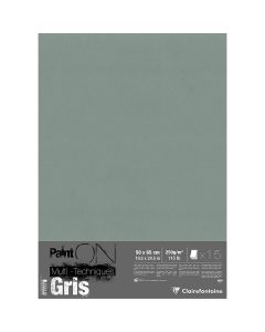 Clairefontaine Paint'ON Fogli grigi 50x65 cm